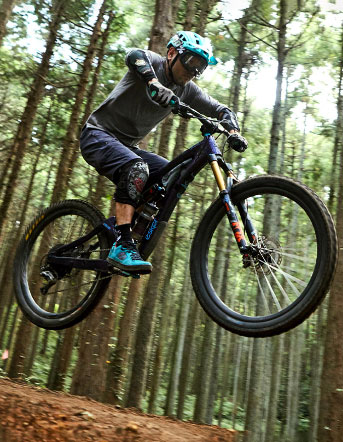 Renault Japon ルノー カングー バイシクルライフ