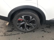 9800185a30250428w00123