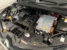 s156467650