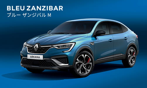 BLEU ZANZIBAR ブルー ザンジバル M